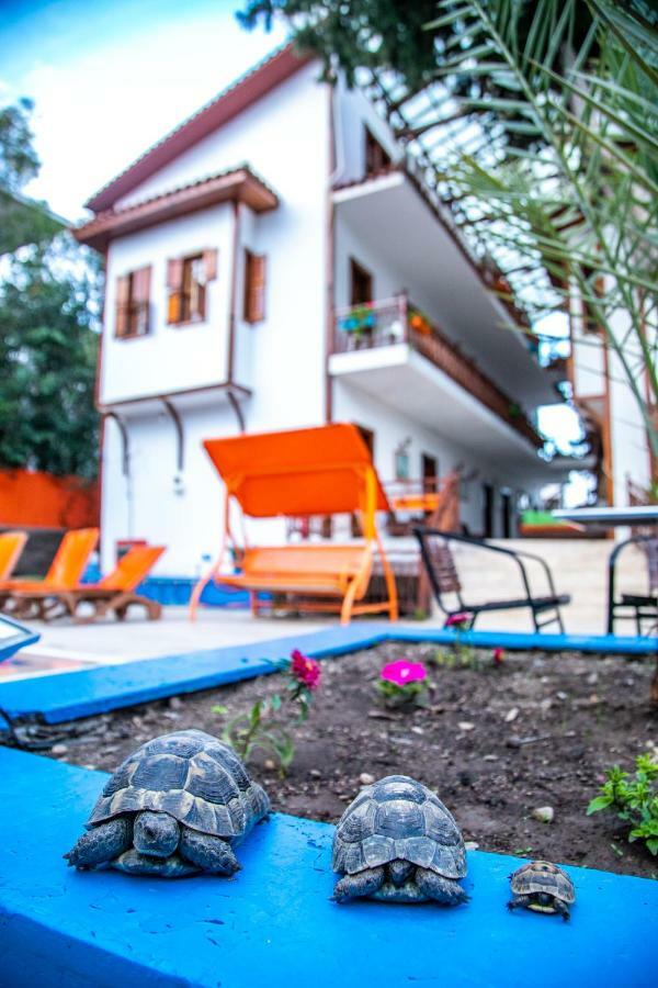 Kaliptus Hotel Кемер Екстериор снимка